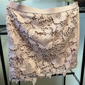 American Eagle Elegant Lace Floral Skirt in Pink